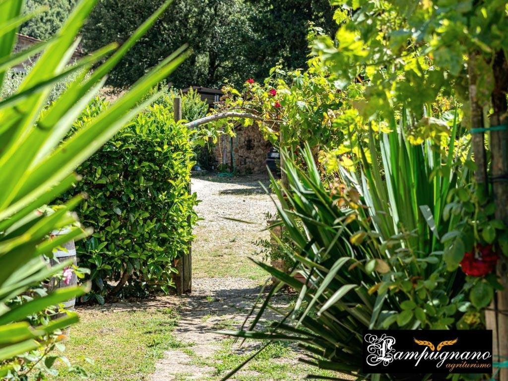Agriturismo Lampugnano Paganico  Luaran gambar